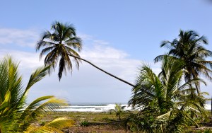 Coastal Caribbean Costa Rica