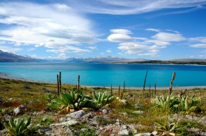 Mt. Cook on a clear day